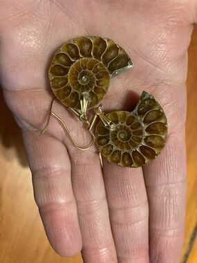 True Ammonite Fossil Drop Earrings - Brown Spiral Shells